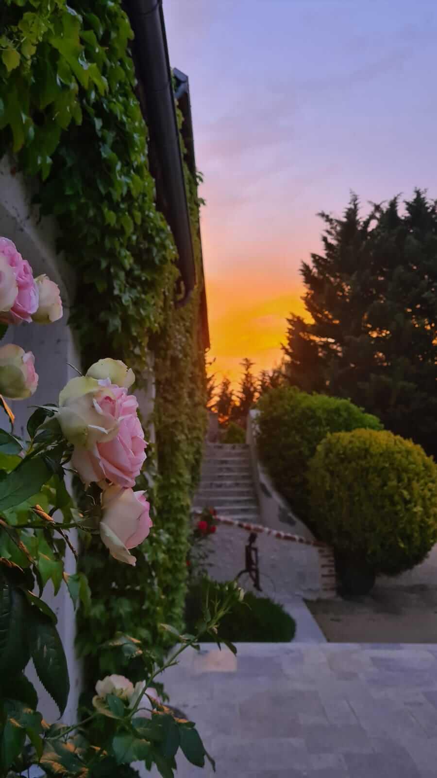 Bed and Breakfast Domaine De La Blonnerie Feings  Esterno foto