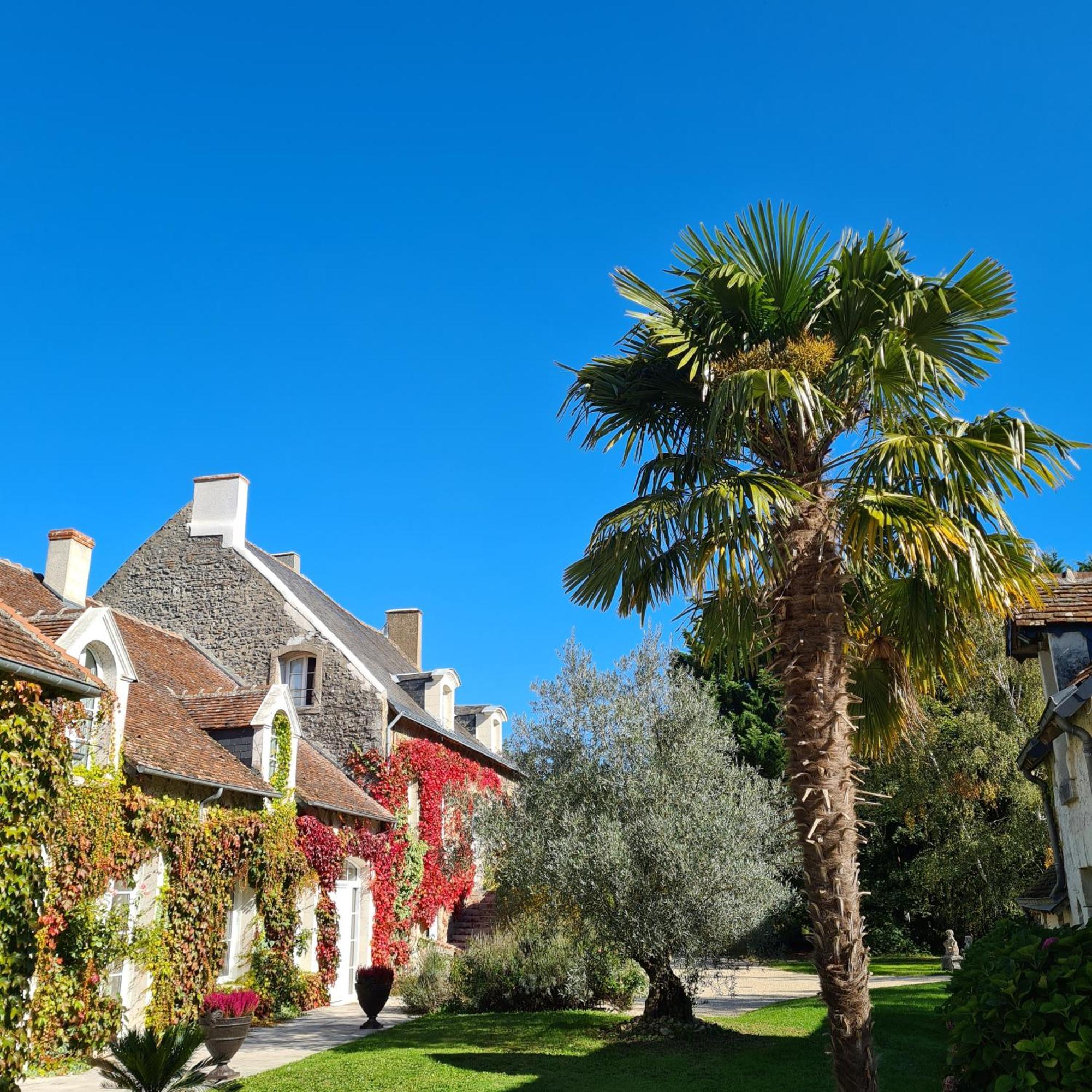 Bed and Breakfast Domaine De La Blonnerie Feings  Esterno foto
