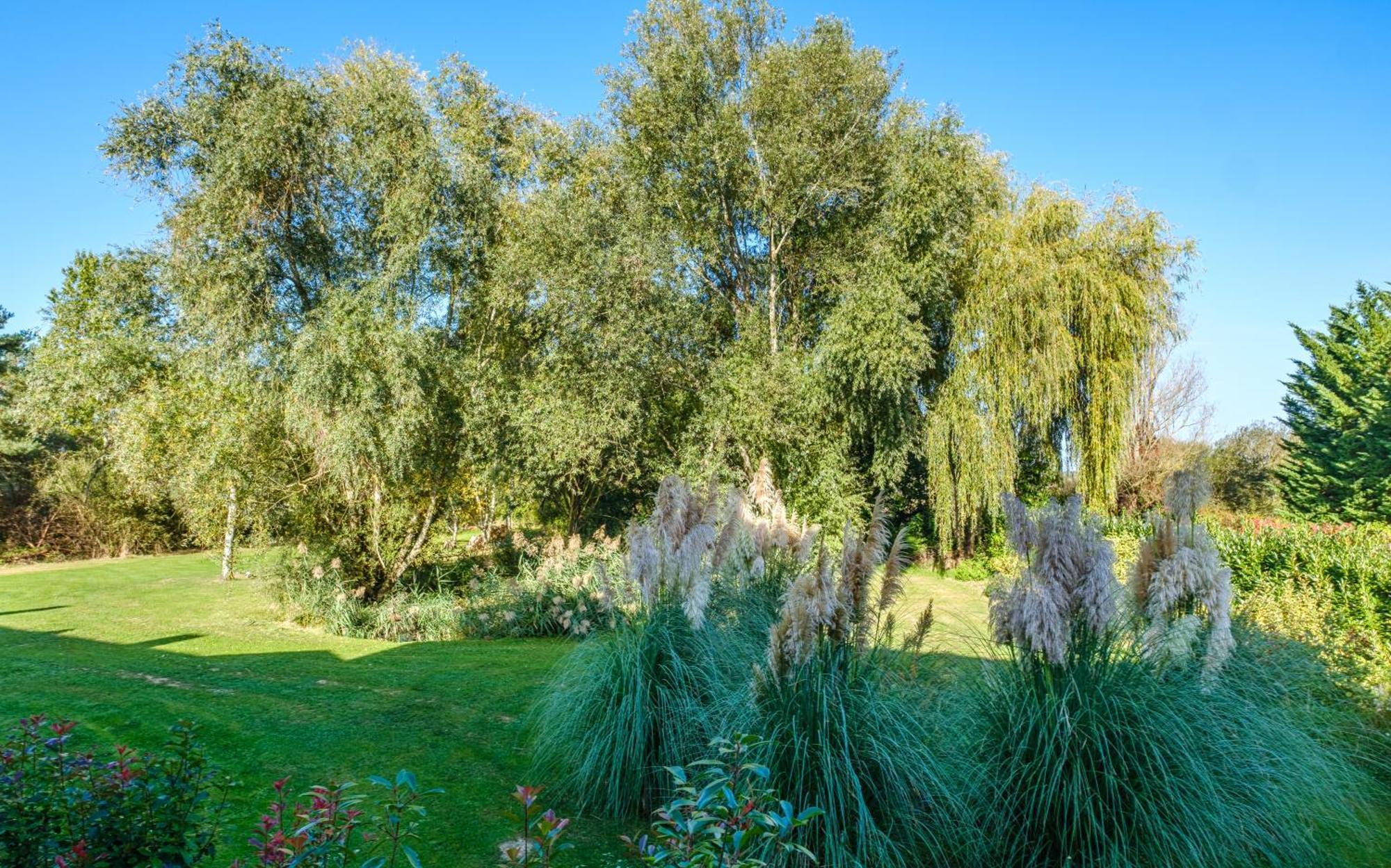 Bed and Breakfast Domaine De La Blonnerie Feings  Esterno foto